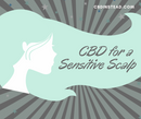 CBD oil for a Sensitive Scalp
