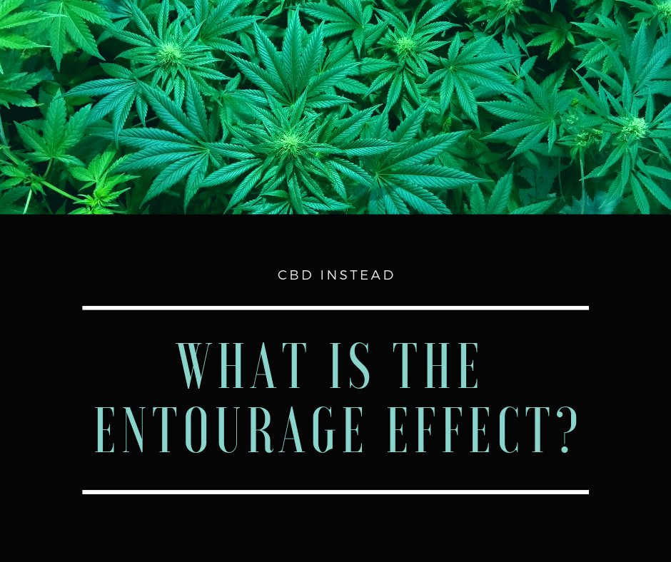 What is the Entourage Effect?