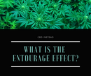 What is the Entourage Effect?