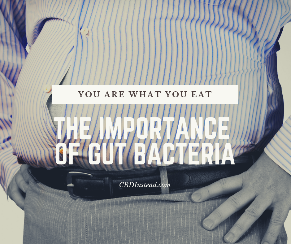 You Are What You Eat: The Importance of Gut Health