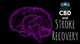 CBD And Stroke Recovery