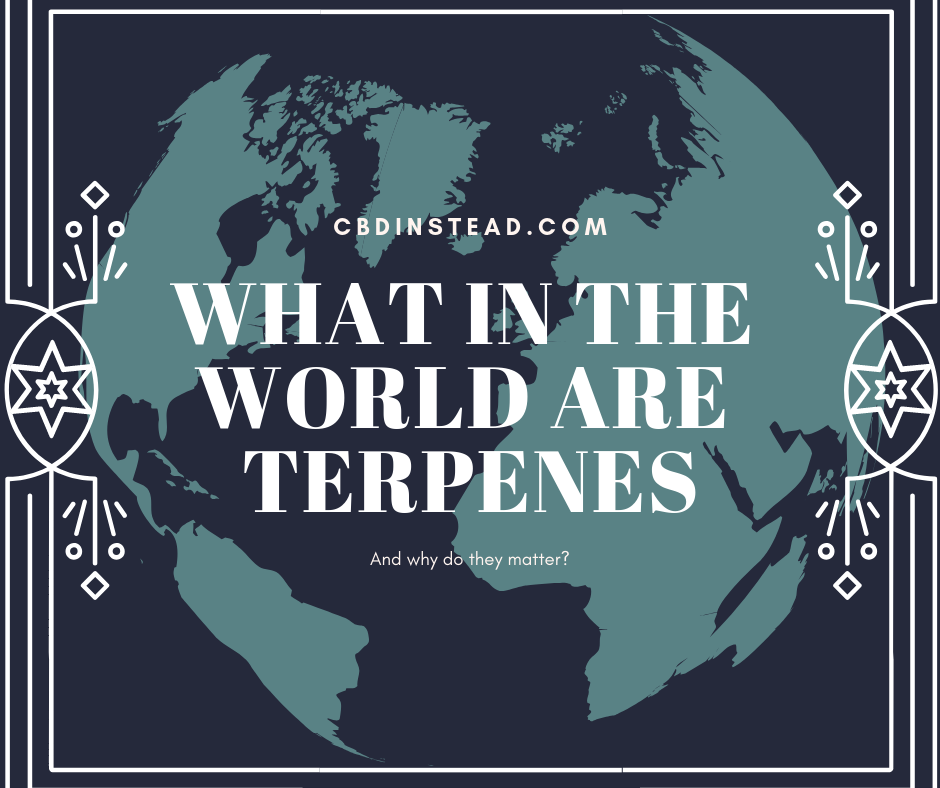 What in the World are Terpenes and Why do They Matter?
