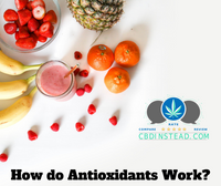 How do Antioxidants Work?