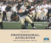 Why Are Professional Athletes Excited About CBD Oil?