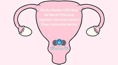 Study Shows CBD May Be More Effective Against Cervical Cancer Than Cannabis Sativa