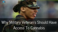 Why Military Veterans Should Have Access To Cannabis