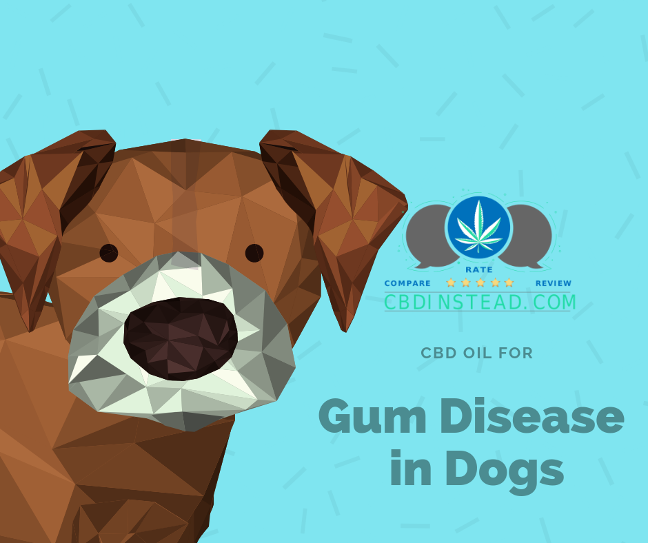 CBD for Gum Disease in Dogs