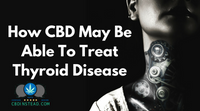 How CBD May Be Able To Treat Thyroid Disease
