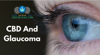 CBD For Glaucoma