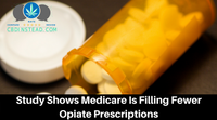 Study Shows Medicare Is Filling Less Opiate Prescriptions