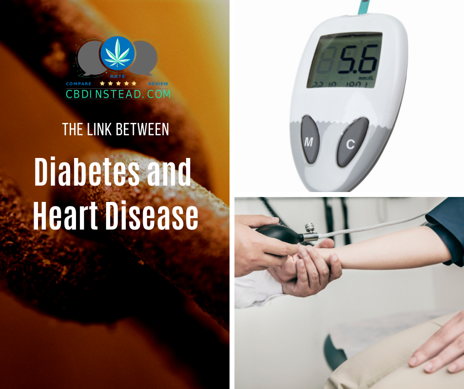 The Link Between Diabetes and Heart Disease
