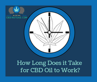 How Long Does it Take for CBD Oil to Work?