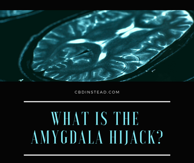 What is the Amygdala Hijack