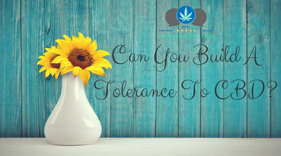Can You Build A Tolerance To CBD?