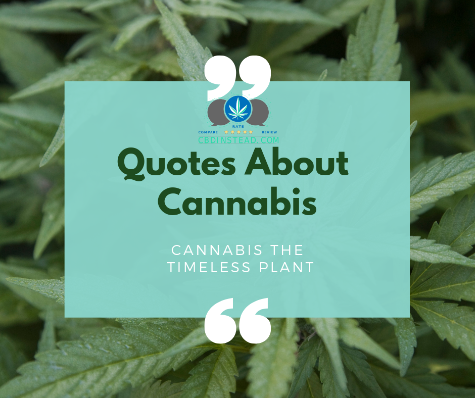 Quotes About Cannabis