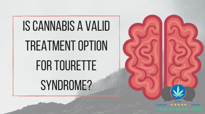 Is Cannabis A Valid Treatment Option For Tourette Syndrome?