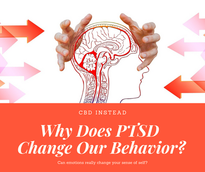 Why Does PTSD Change Our Behavior?