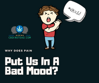 Why Does Pain Put Us In A Bad Mood?