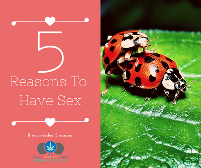 5 Reasons To Have Sex