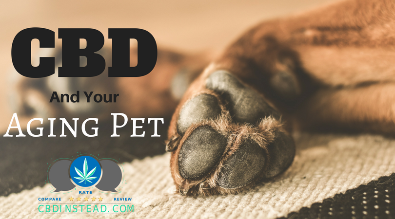 CBD For Your Aging Pet