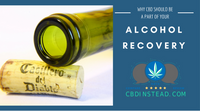 Why CBD Should Be A Part Of Your Alcohol Recovery