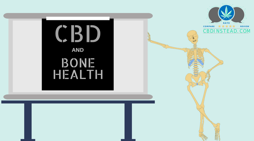 CBD And Bone Health