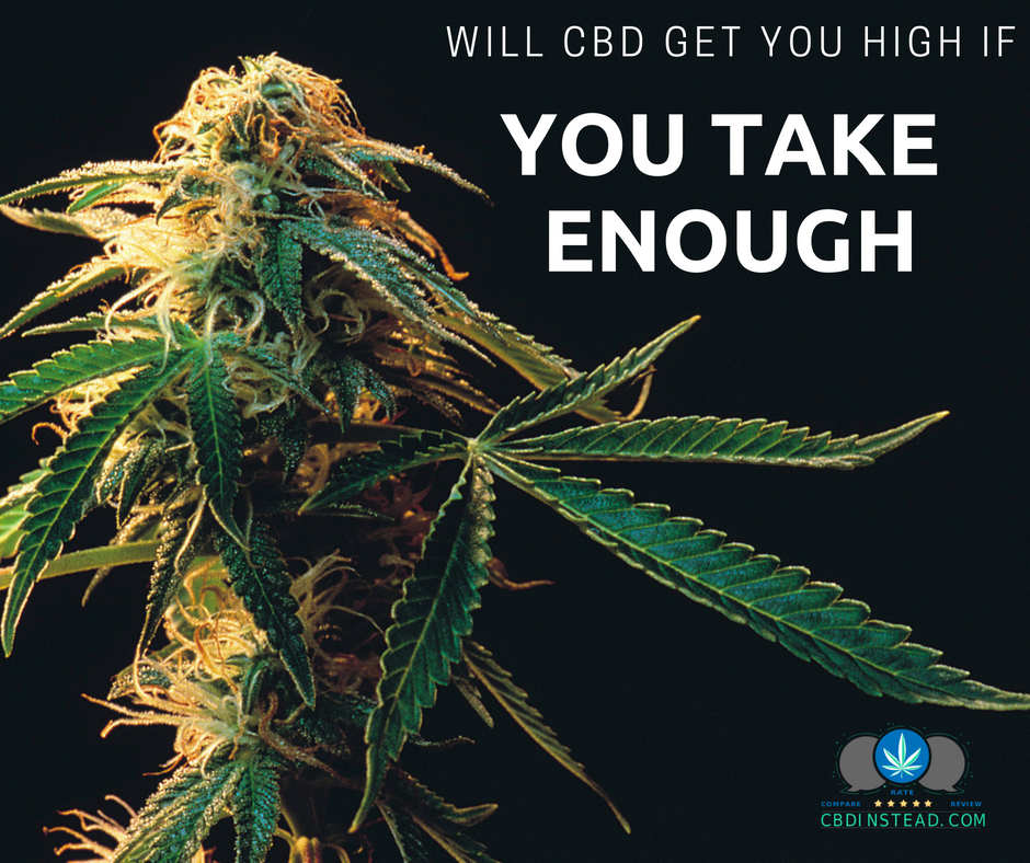 Will CBD Get You High If You Take Enough?