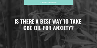 Is There a Best Way to Take CBD Oil for Anxiety?