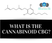 What Is The Cannabinoid CBG?