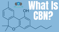What Is The Cannabinoid CBN?