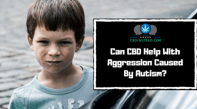 Can CBD Help With Aggression Caused By Autism?