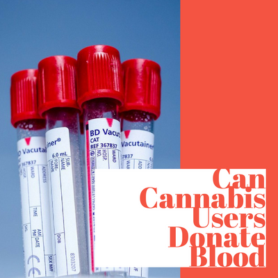 Can Cannabis Users Donate Blood?