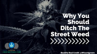 Why You Should Ditch The Street Weed