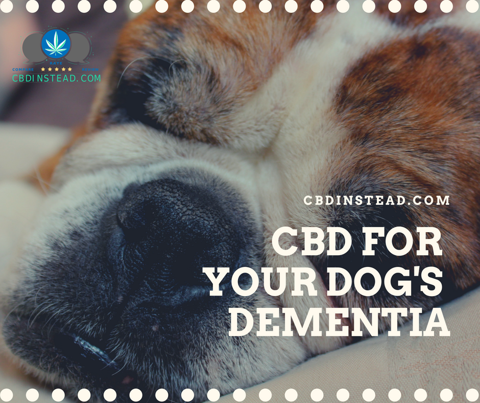 CBD For Your Dog's Dementia