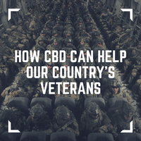 How CBD Can Help Our Country's Veterans
