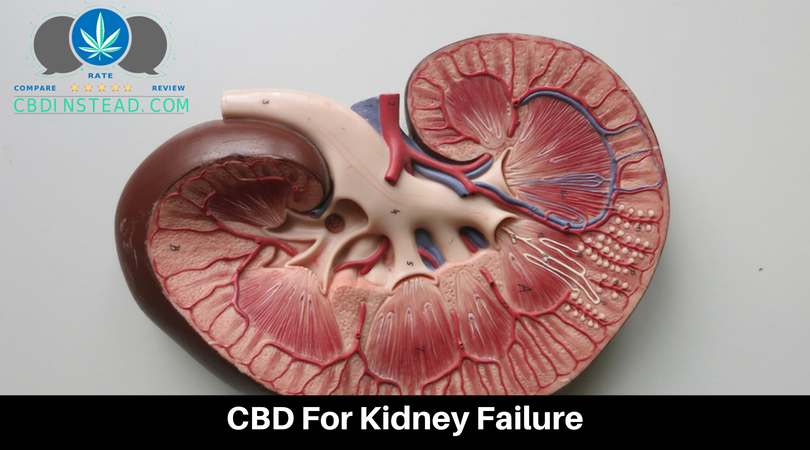 CBD For Kidney Failure