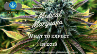 What Can We Expect In 2018 For Marijuana?