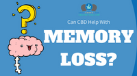 Can CBD Help With Memory Loss?