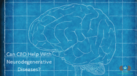 Can CBD Help With Neurodegenerative Diseases?