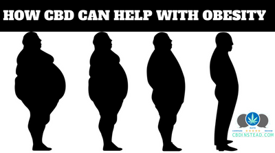 How Can CBD Help With Obesity