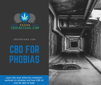 CBD For Phobias
