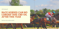 Race Horses Can No Longer Take CBD Oil After This Year