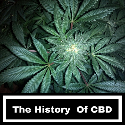 The History Of CBD