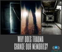 Why Does Trauma Change Your Memories?