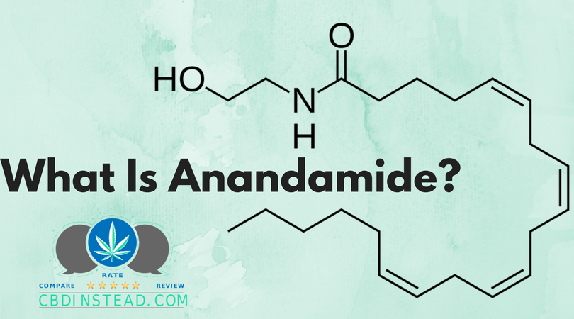 What Is Anandamide?