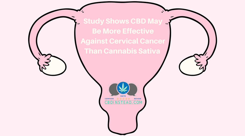 Study Shows CBD May Be More Effective Against Cervical Cancer Than Cannabis Sativa