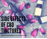 Side Effects of CBD Tinctures